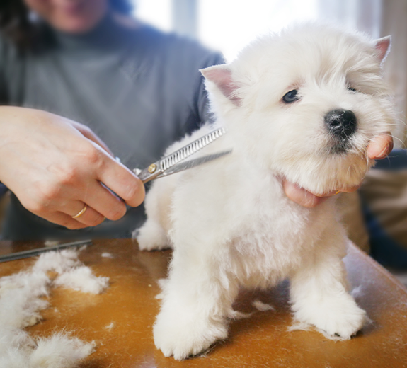 Zimm's Central Vacuum Systems